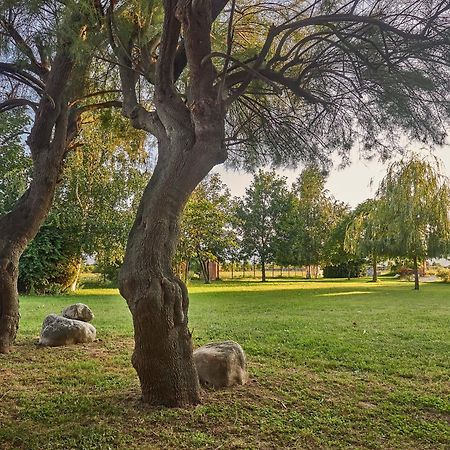 B&B Cascina Dell'Eco Busca Bagian luar foto